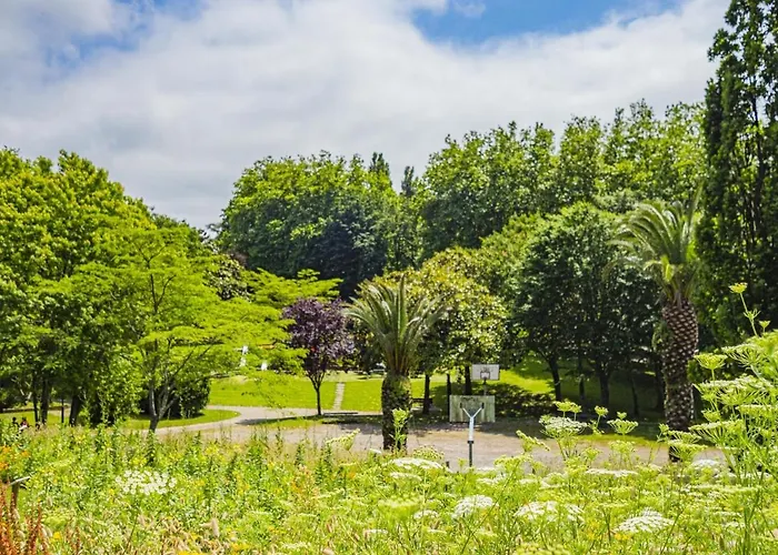 4* Au Coeur De St-jean-de-luz Avec Terrasse Et Parking, A 5 Min De La - Fr-1-239-522 *